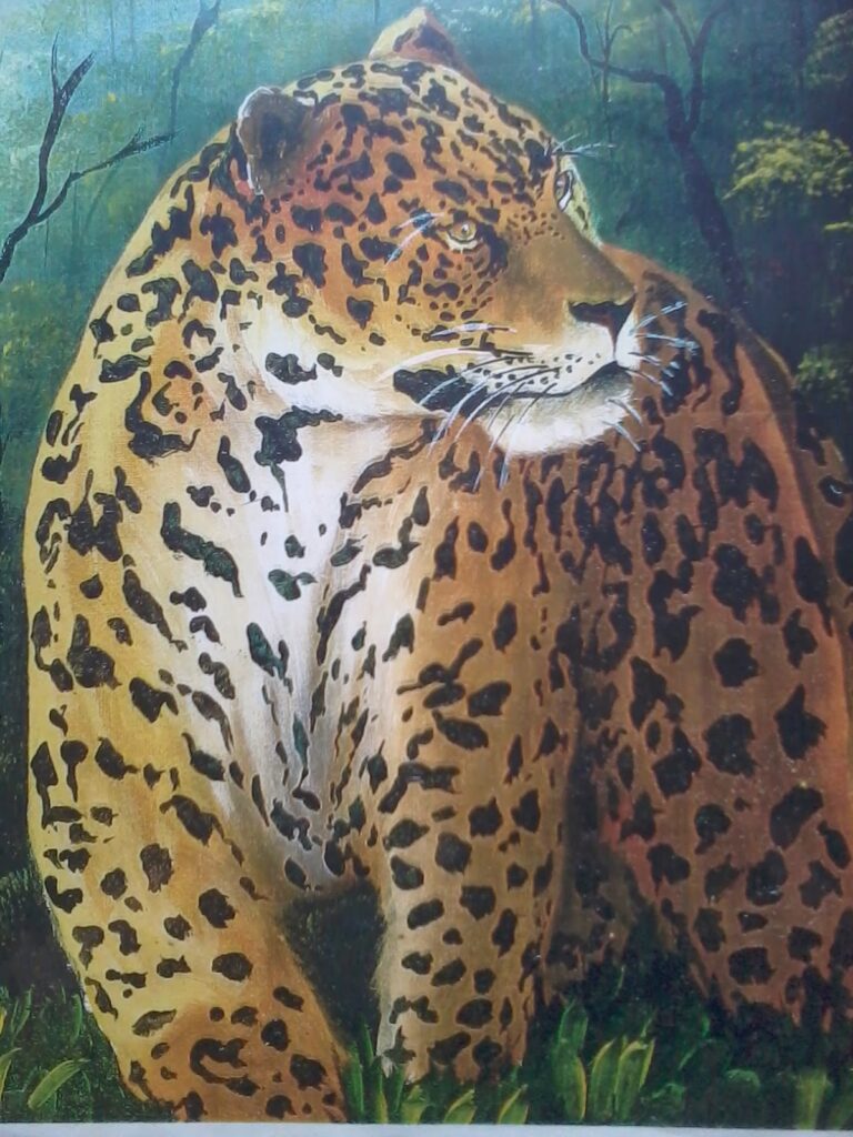 marcelo-arcos-desenho-pintura-amazonas-manaus (3)